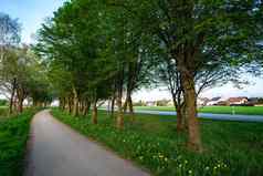 图像自行车专用道路人行道树的绿色草地