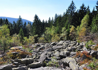 岩石栖息地巴伐利亚森林