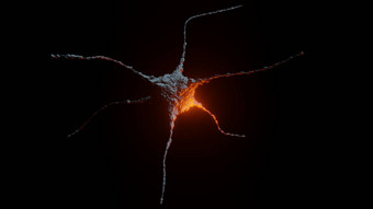 神经元摘要黑暗背景红色的耀斑