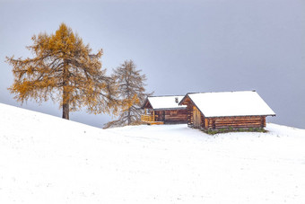 雪早期冬天景观阿尔卑斯Siusi<strong>白云石山脉</strong>斜体字