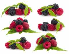 树莓黑莓