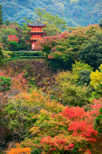 koyasu宝塔清水寺寺庙区域秋天季节《京都议定书》