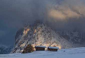 雪早期冬天景观阿尔卑斯Siusi白云石山脉斜体字