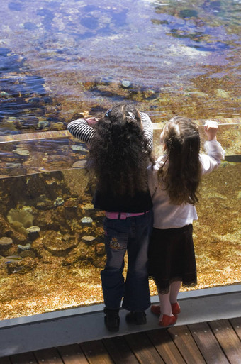 姐妹大水族馆