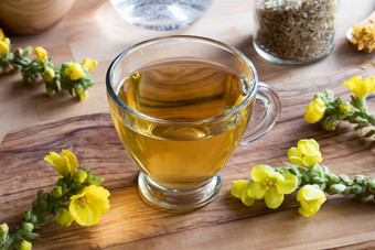 杯毛蕊花属茶毛蕊花属花背景