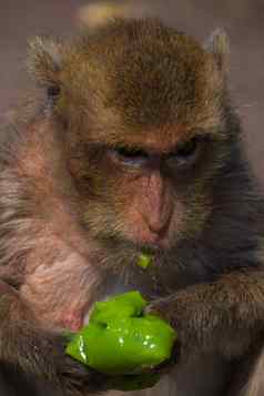 猴子吃霓虹灯绿色冰奶油街