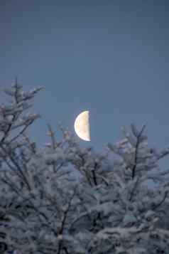 月亮一半月亮冬天雪夜幕降临