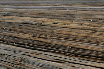 前视图木地板上海港口关闭古董木材地板