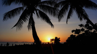 <strong>日落</strong>景观海滩<strong>日落</strong>棕榈树轮廓<strong>日落</strong>热带海滩