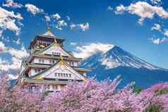 富士山城堡樱桃开花春天