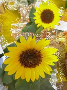 向日葵年金黄色的向日葵关闭快乐的充满活力的花
