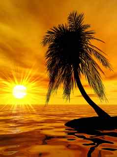 单棕榈无人居住的岛