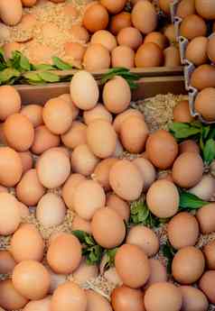 有机新鲜的农场鸡蛋市场