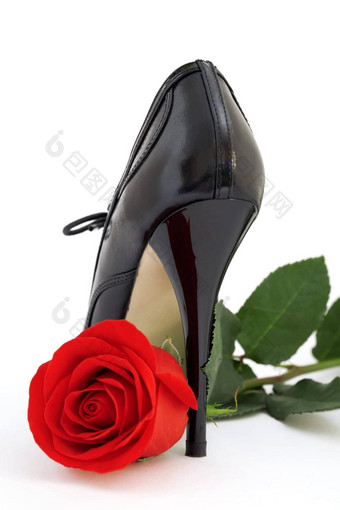 红色的玫瑰黑色的鞋