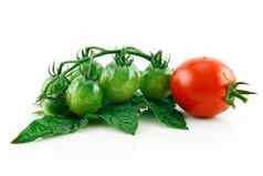 成熟的湿红色的绿色西红柿孤立的白色