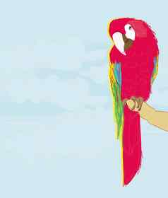 色彩鲜艳的鹦鹉鸟坐着鲈鱼