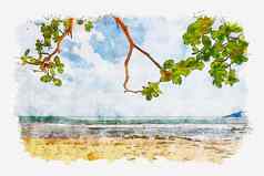 树叶子奢侈品海滩