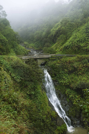 瀑布毛伊岛夏威夷