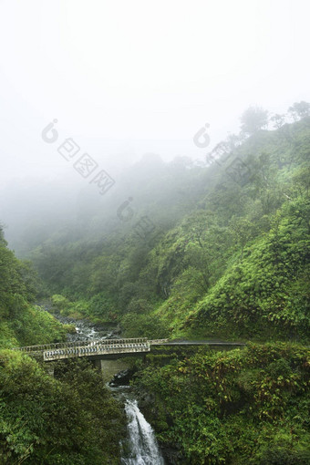 瀑布毛伊岛夏威夷