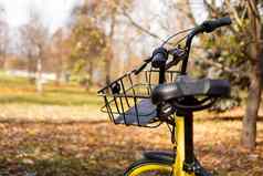 黄色的自行车下降叶子设置太阳秋天公园