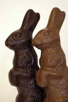 巧克力复活节小兔子