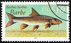 邮资邮票民主德国常见的巴贝尔巴布斯巴布斯