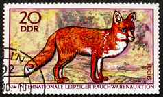 邮资邮票民主德国红色的狐狸狐狐