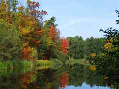 风景如画的秋天景观河明亮的树灌木