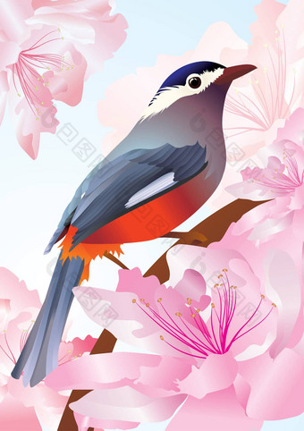 向量鸟春天花粉红色的开花