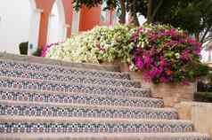 陶瓷瓷砖楼梯叶子花属