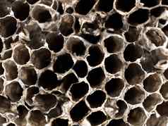 纹理背景黄蜂巢蜂巢
