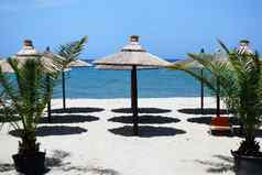 海滩海景棕榈树遮阳伞