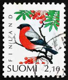 邮资邮票芬兰欧亚红腹灰雀鸟