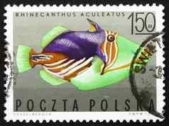 邮资邮票波兰条纹引金鱼热带鱼