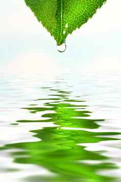 绿色叶水反射