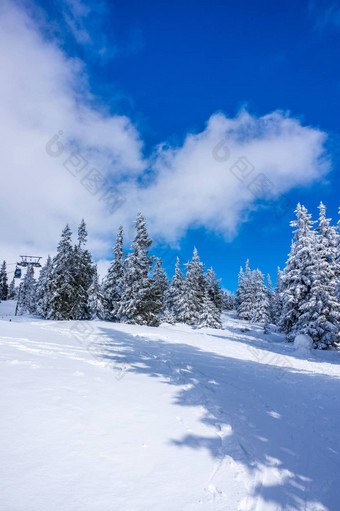 krkonose山覆盖雪冻树<strong>最高峰</strong>Sněžka背景蓝色的天空白色云阳光明媚的一天3月