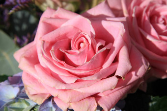 粉红色的玫瑰婚礼核心