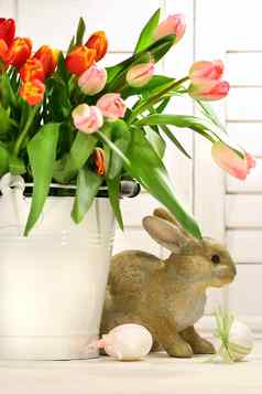 兔子隐藏容器郁金香