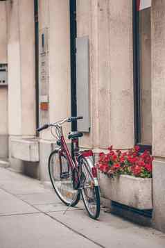 美丽的城市景观自行车墙花维也纳