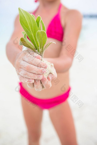 孩子们手持有绿色树苗背景白色沙子
