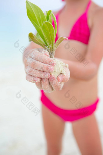 孩子们手持有绿色树苗背景白色沙子