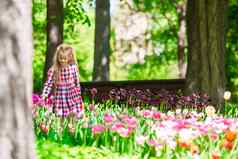可爱的女孩闻色彩斑斓的郁金香夏天花园
