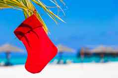 红色的圣诞老人他圣诞节长袜棕榈树