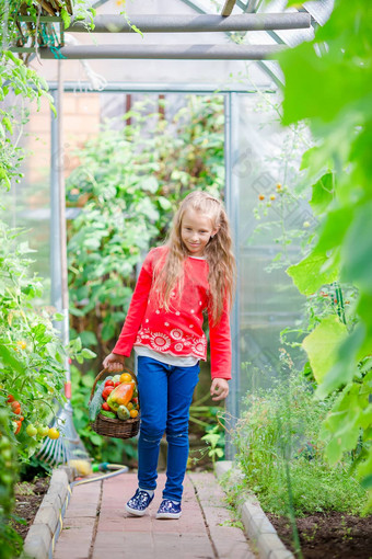 可爱的女孩收获黄瓜西红柿温室美丽的孩子篮子<strong>蔬菜水果</strong>