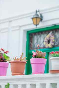 传统的希腊色彩斑斓的花盆花步骤街道村希腊