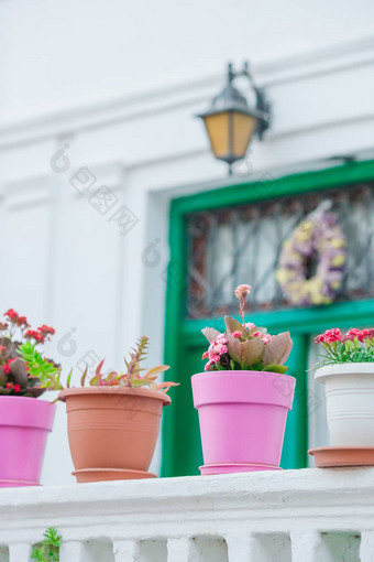 传统的希腊色彩斑斓的花盆花步骤街道村希腊