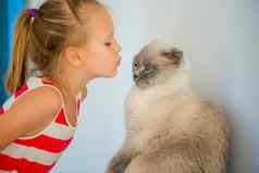 可爱的女孩接吻宠物猫首页爱孩子宠物