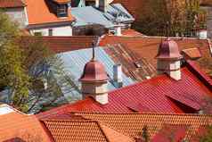 视图塔林美丽的红色的瓷砖屋顶