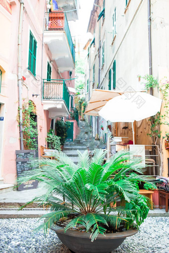 美丽的空狭窄的街道小城市卢卡意大利