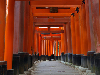 鸟居伏见inari